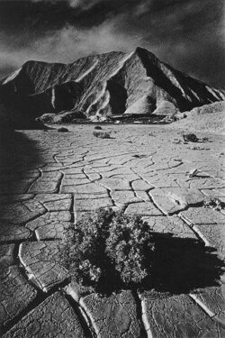 Copyright © 1977 Jeanloup SIEFF