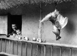 Photo : Guy Lejeune - "MAILE 1999"