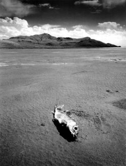 Photo : Guy Lejeune - "USA LAC SALÉ - Août 97"