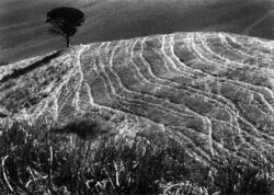 Photo : Guy Lejeune - "MOISSON"