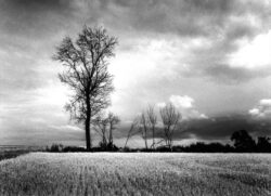 Photo : Guy Lejeune - "LE LAONNOIS - Juillet 99"