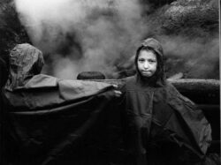 Photo : Guy Lejeune - "USA YELLOWSTONE 1997"