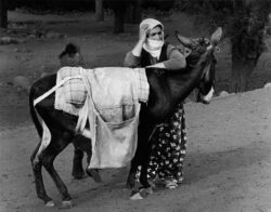 Photo : Guy Lejeune - "TURQUIE"