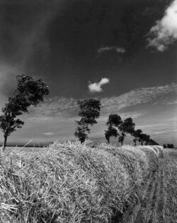 Photo : Francis LEROUX - Copyright © 2002 Photo-Ciné-Club Offranvillais