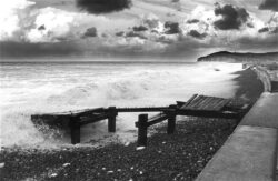 Photo : Francis LEROUX - Copyright © 2002 Photo-Ciné-Club Offranvillais