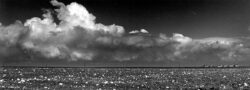Photo : Francis LEROUX - Copyright © 2002 Photo-Ciné-Club Offranvillais