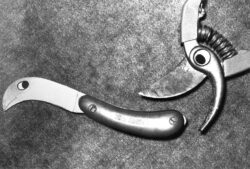 Photo : Francis LEROUX - Copyright © 2002 Photo-Ciné-Club Offranvillais