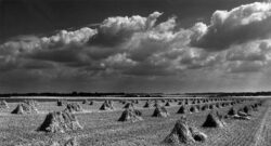 Photo : Francis LEROUX - Copyright © 2002 Photo-Ciné-Club Offranvillais